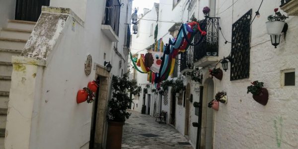 09E2BB57-F691-4901-A1ED-790CA894951B