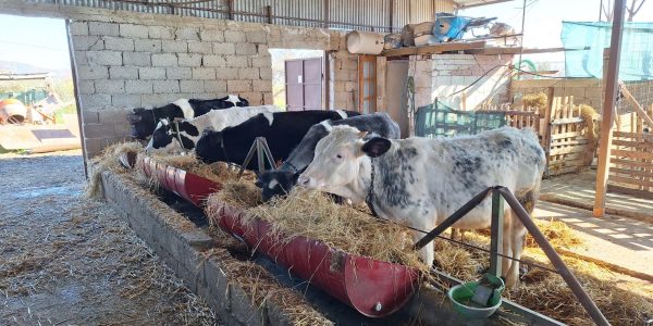 0C825CCC-E627-4354-9DAB-7216E5F9F6D7