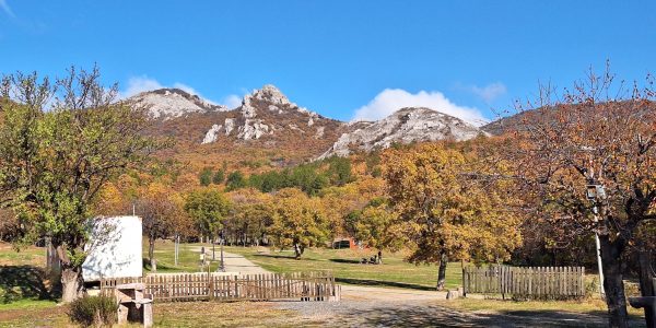 0F9A21E1-8CCF-4DEC-B3E0-AA50CD29182B