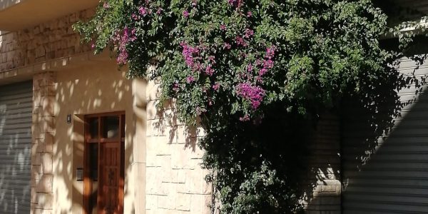 1563FB52-B1F5-493E-A77F-D69BF43BC092