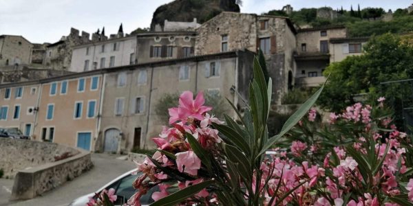 18678532-D858-456C-96B8-BC4100DB1068