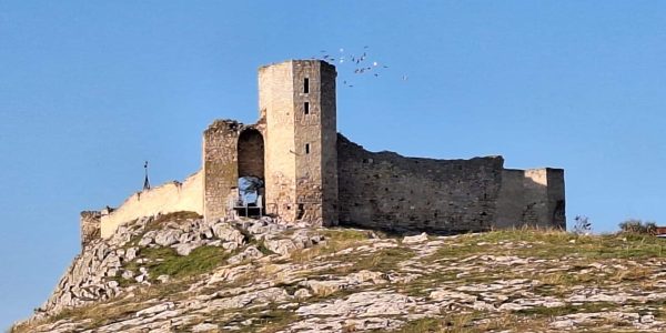 1D2FF469-5B78-4D29-9784-CFB10AD8B418