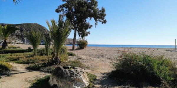 207AE5B0-15EF-4FAA-AFF2-44912509B206