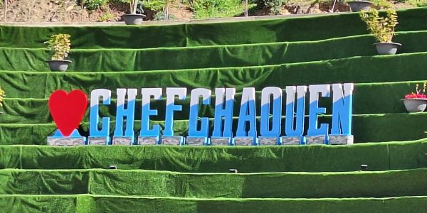 21E598B5-F37A-4A7D-81AB-F1873E16D4DF