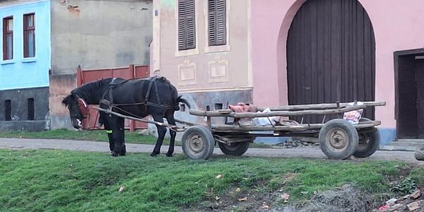 23887B21-15E7-4399-8EEA-A1A3E9D2276F