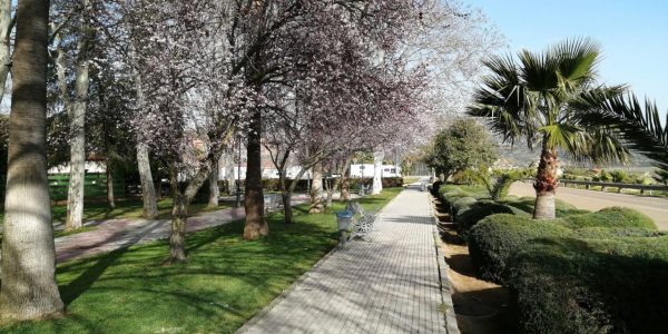 2BBC2112-30E1-4F1D-9CD4-1CA1DF8E95FE