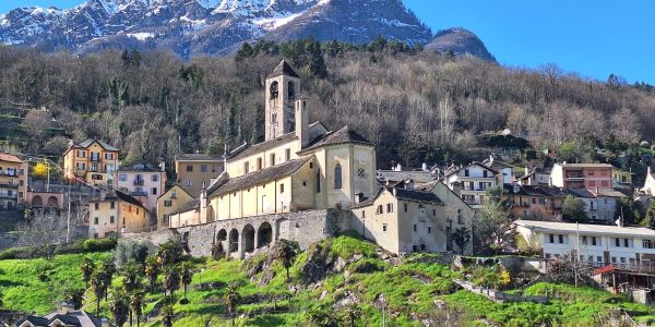 2C99259C-CCCA-49A0-92EA-941CD0DD161C