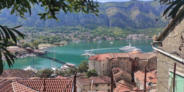 31B5C620-042C-4317-B285-A1A8B78E7EE4