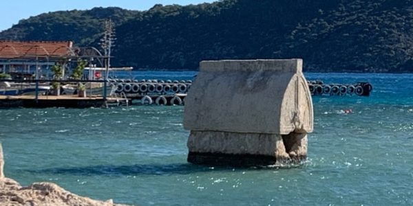 3322C389-07CD-4DEA-84D9-7944654E0603