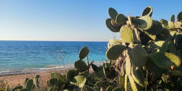 366CE27F-9E95-4081-BE50-0BC23F530DBF