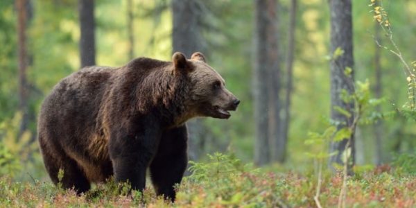 3E843D82-E8EF-4BD8-AD9F-BCBAE3080962