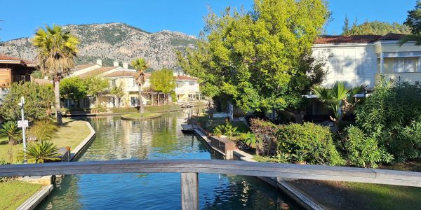 3FE42D19-EF4A-4BB6-BA39-33985BC385AB