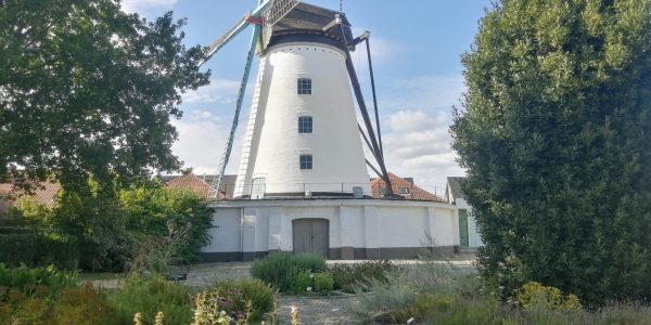 45B95367-0055-4AC6-B8A9-58975D8632CA