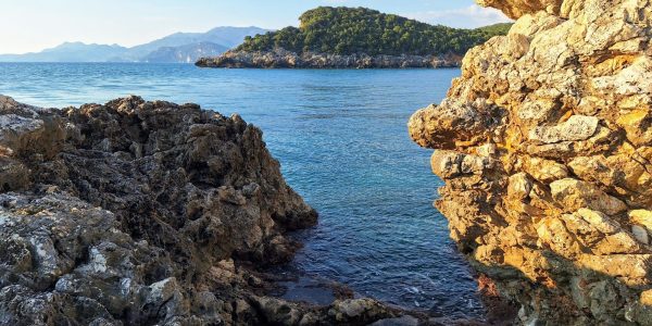 464B2EA2-422E-4F2D-8828-07F4DBE5DE6A