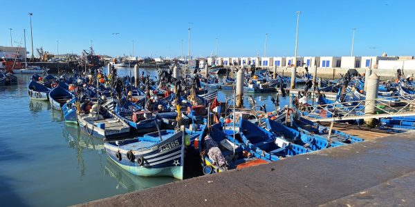 46EB430C-5F0A-4F09-9B08-445C3FFFE5A8