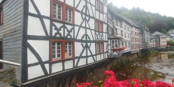 4B7F1138-1FB4-4C95-B7E2-07D5A69F6B40