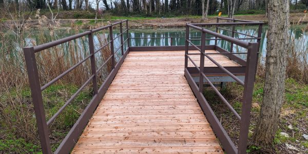 54A07929-212C-4FAE-B971-636F05067122