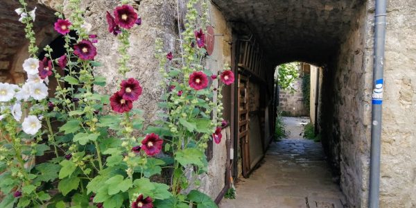 564ACBEA-0BC7-4755-BA53-9CCC8AFA2962