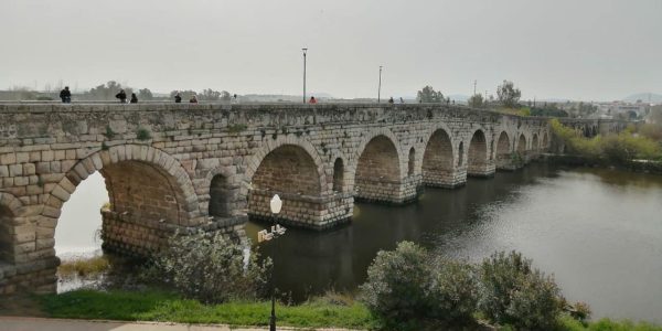 631EB060-69FF-4F4D-9C9F-4029675F8A79