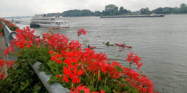 67321B8F-3E0C-4131-906E-1CDC3E12E297