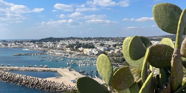 67917C35-0338-4293-A716-2E927A2132E1