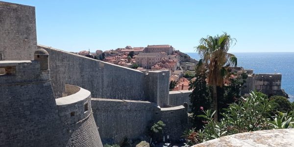 690E779C-9378-449D-84BE-449086717FAD