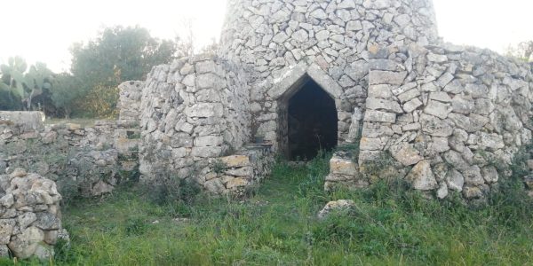 6AC9D08B-1445-40D8-9163-9B0E5B40B411