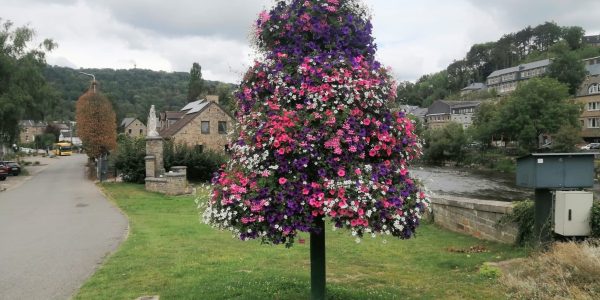 6E0BA249-8E0F-41FC-942A-C019DC206E97