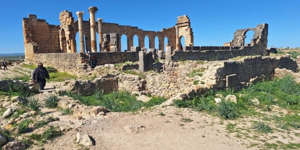 799E7AA8-2508-4F46-91A6-529C4602DCFF