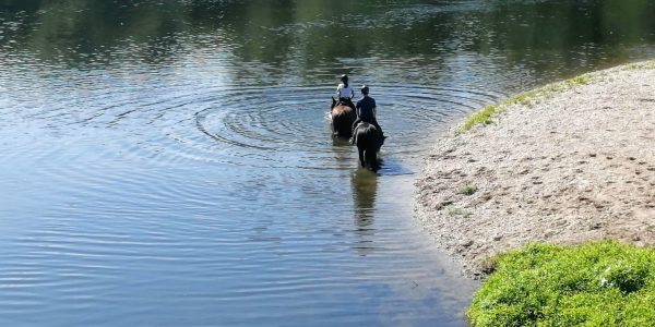 8226ED85-F584-43A2-BA2E-70D40E0E5725