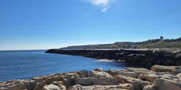 82A256AD-F222-4BA4-8E5B-3ECE285C1000