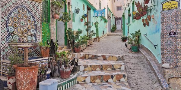 8D444AE5-2DA8-4A3B-8A84-572D5D17A9FB