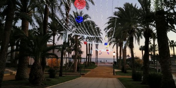 9212D257-EEE7-44D1-B9E6-CDE257BEF401