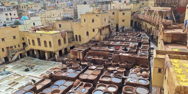 99A06818-4FF1-42E3-BD2F-366065C0CB0E