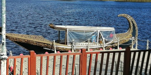 A6ACD0C5-F425-46AE-A096-B1AA0029E595