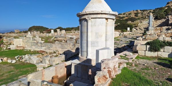 A96D0347-86FD-4E9C-82D6-9A8E3DC5EE3D