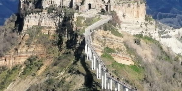 AD7346C8-D9BD-4111-A9A8-FD68740516DC