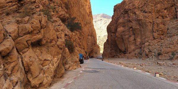 ADD881DA-D0F4-48A0-A780-28E4B0EFE933