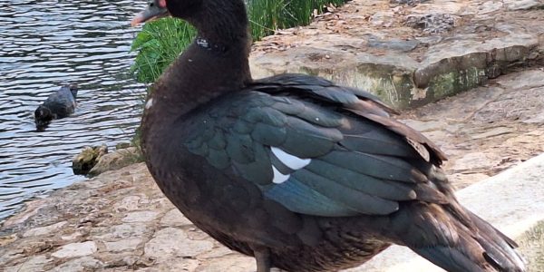 B5BEF941-2398-4FA1-A187-DF1F83277F38