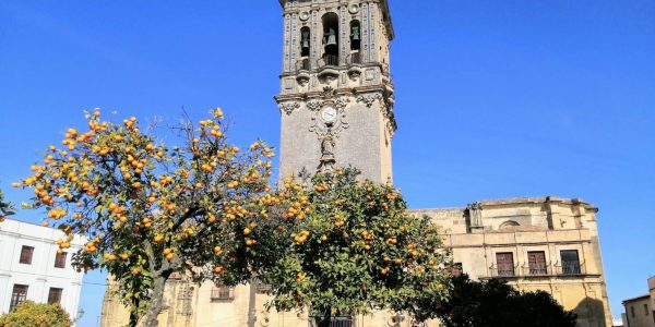 B5FDD792-AE79-4812-B510-016F5BD511E4