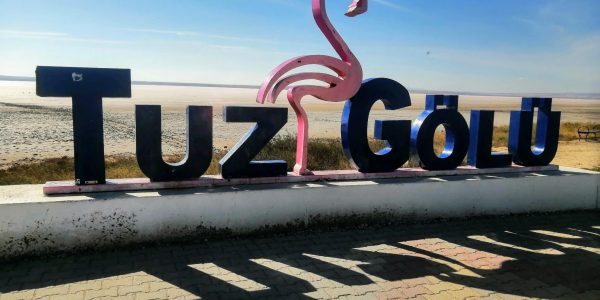 B92C9F2E-97D6-453D-9018-EBAC1FF929FC