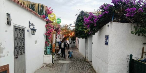 BA1E714D-68ED-441D-B8B0-3B3C55573592