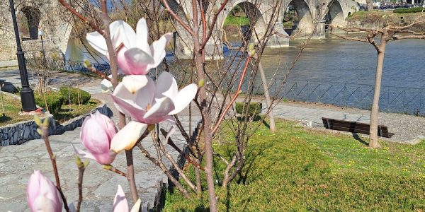 BDC53669-3ED1-49A9-8C3B-C3350935F3F5