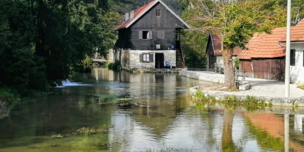 CD6809D8-1144-44A6-A468-D9EEF6FA846E