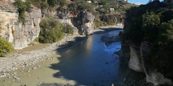 D0799E9A-45D0-450C-957E-B54B91876B5D