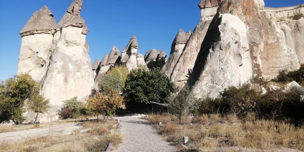 D2B8FAE3-750C-43E6-BCF9-9E6639929EFC