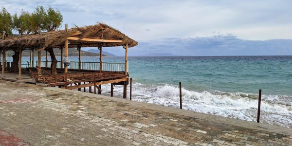 D54D097C-1A00-447C-861E-81D0C566B7AD