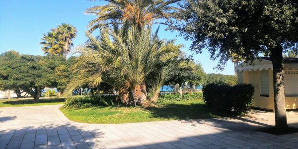 D7038BCC-CAD1-4038-A1BB-9C93F4464B96