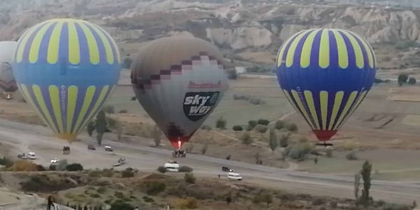 D7C35041-4646-4011-A703-9F2194EBAFF2