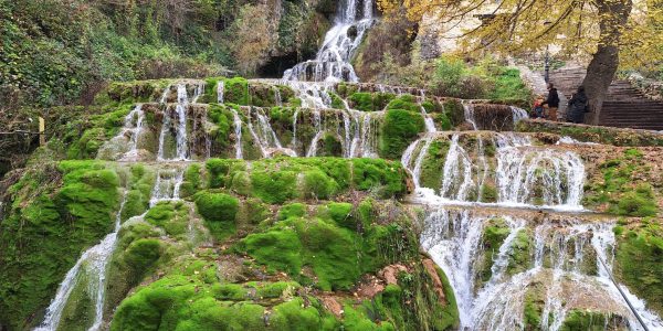 D85D9570-3050-4642-9A28-8E78B0441C00